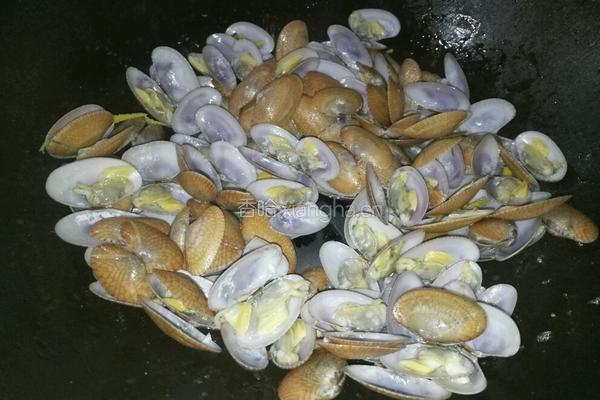 清炒花甲的做法图解5