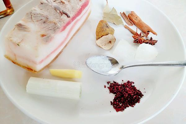 烧东坡肉的做法图解1
