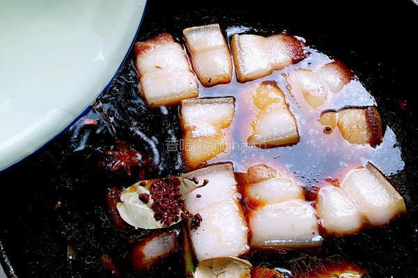 烧东坡肉的做法图解11