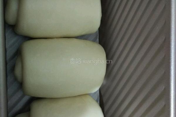 酸奶吐司（一次性发酵）的做法图解9
