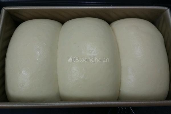 酸奶吐司（一次性发酵）的做法图解11