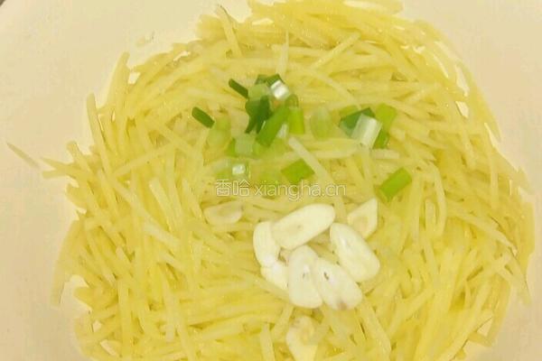 炝拌土豆丝的做法图解9