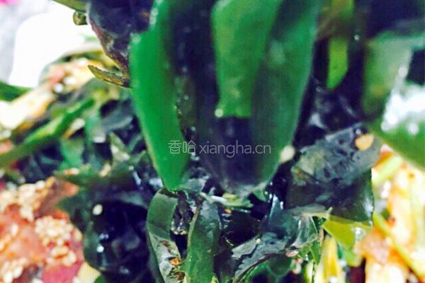 荤素凉拌菜的做法图解14