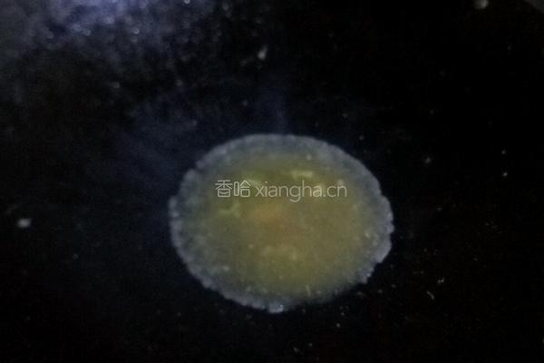 原味酸菜的做法图解2