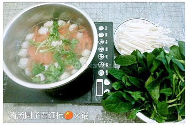 清汤圆子西红柿火锅的做法图解5