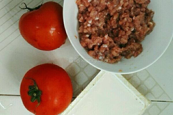 番茄肉末豆腐的做法图解1