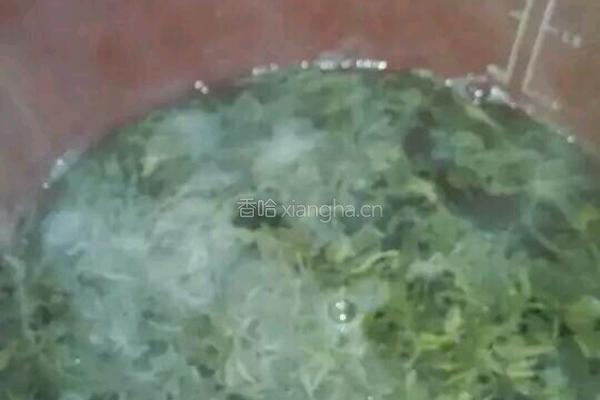茶叶蛋的做法图解5