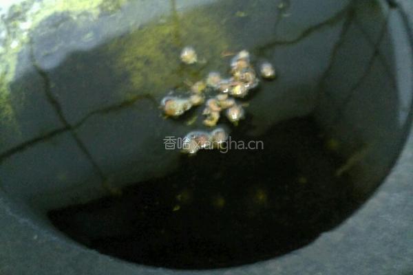 蚝油蕃茄菜花的做法图解6
