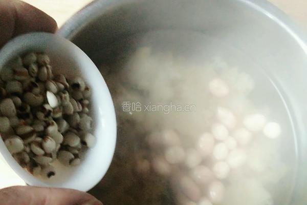 薏米花生银耳羹的做法图解5