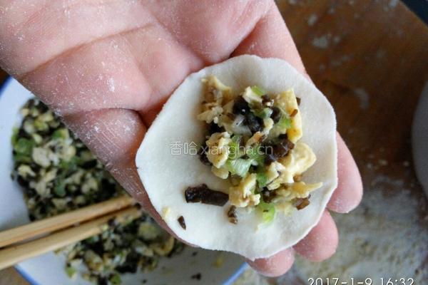 芹菜鸡蛋木耳饺子的做法图解12