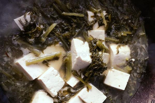 东北雪里蕻炖豆腐的做法图解7