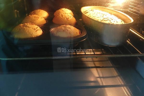 分蛋海绵小蛋糕的做法图解17