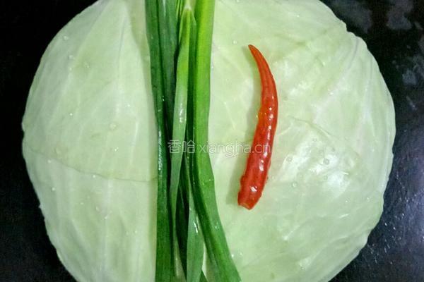 醋溜手撕包菜的做法图解1