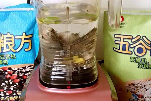 破壁机之无骨鲫鱼鲜汤的做法图解3