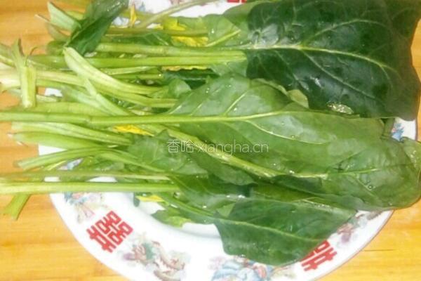 浇汁菠菜的做法图解1