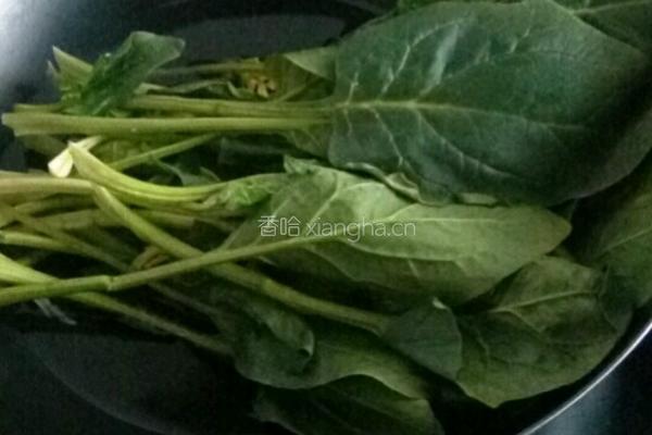 浇汁菠菜的做法图解9