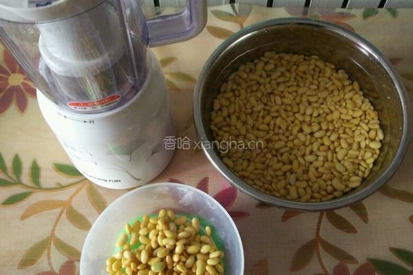 自制豆腐的做法图解2