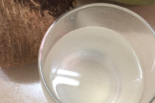 椰汁乌骨鸡粥的做法图解5
