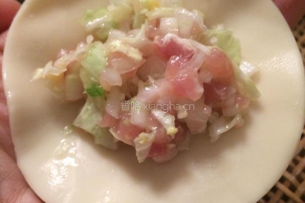 白菜馅肉饺的做法图解8