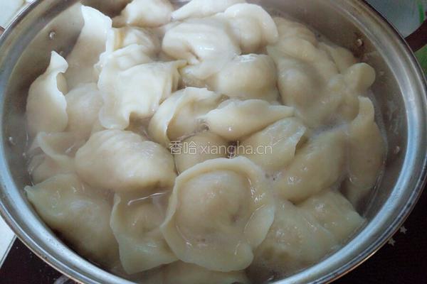 白萝卜香菇饺子的做法图解16