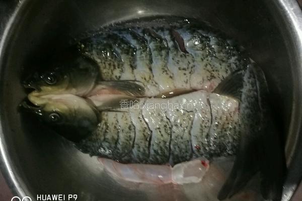 巴山烤鱼的做法图解2