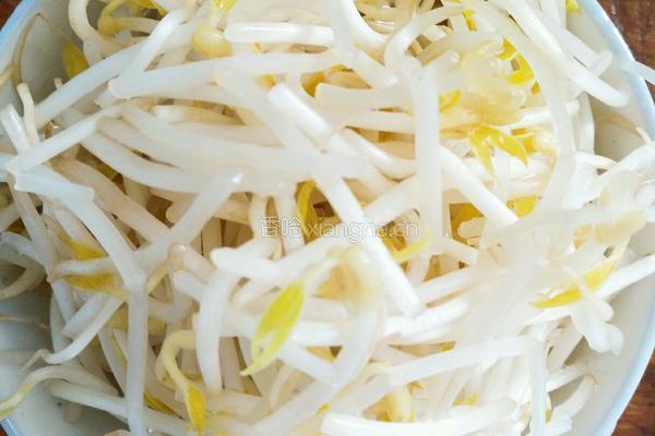 豆芽炒粉丝的做法图解2