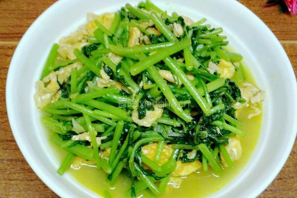 茼蒿炒蛋的做法图解10