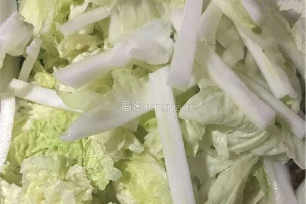 秘笈豆腐素炖白菜的做法图解5