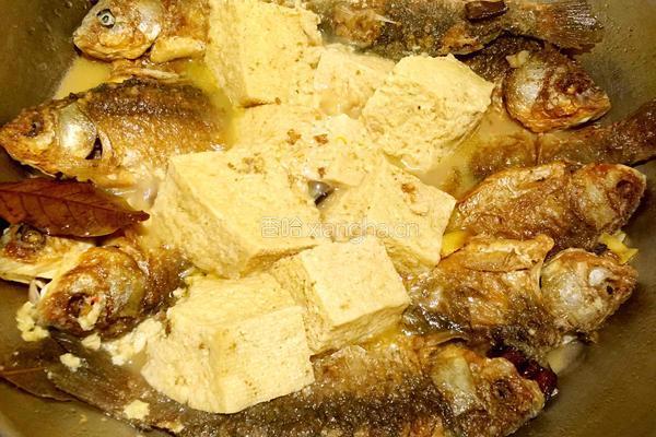鲫鱼炖冻豆腐的做法图解8