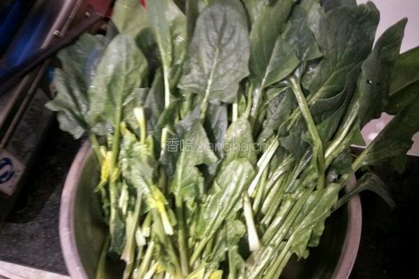 凉拌菠菜的做法图解1