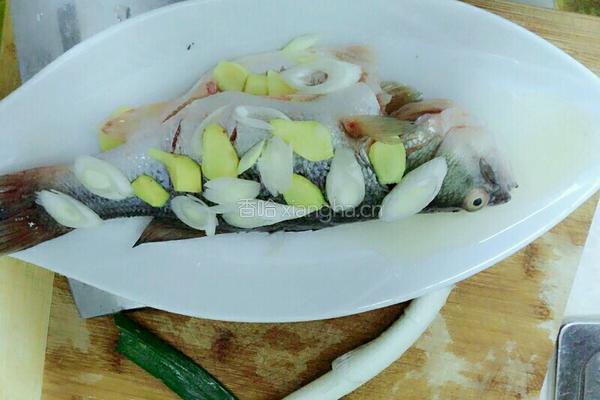 清蒸鲈鱼