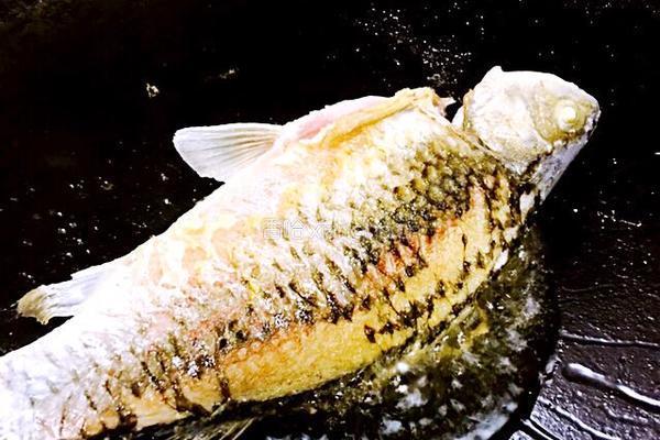 筒骨鲫鱼豆腐汤的做法图解4