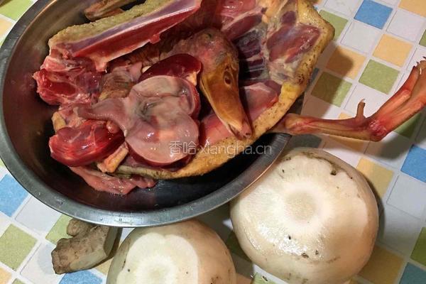 鸭子萝卜汤的做法图解1