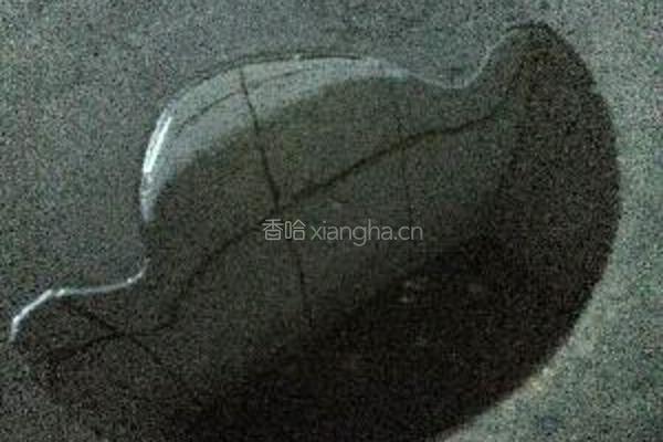 红烧鸡翅中的做法图解5
