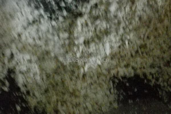 自制辣肉松的做法图解7