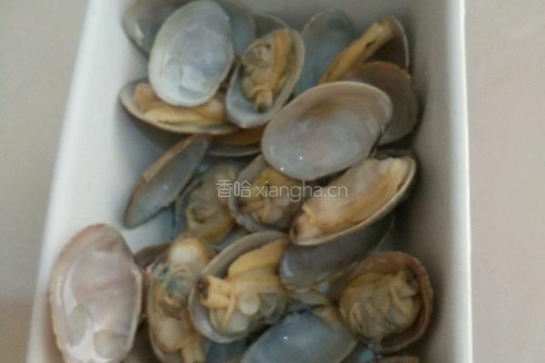 蛤蜊蒸蛋的做法图解3