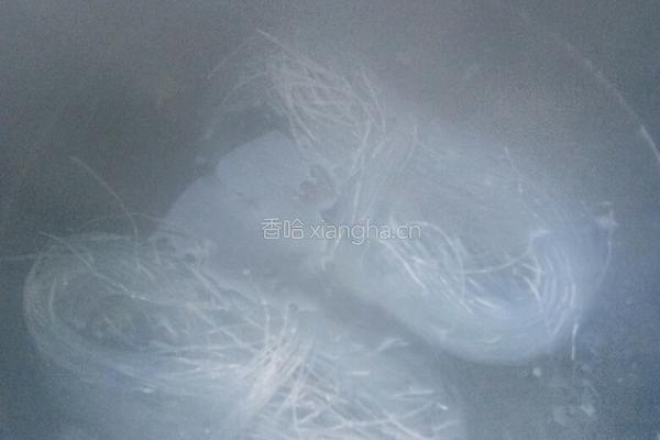 白菜拌粉丝的做法图解3