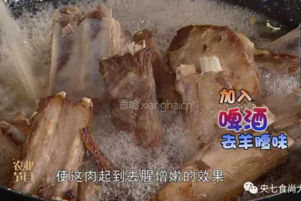 CCTV7食尚大转盘《羊排烧萝卜》的做法图解3