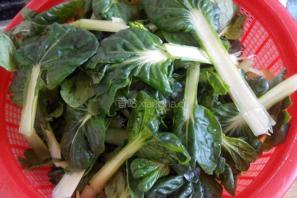 肉炒花叶菜的做法图解2