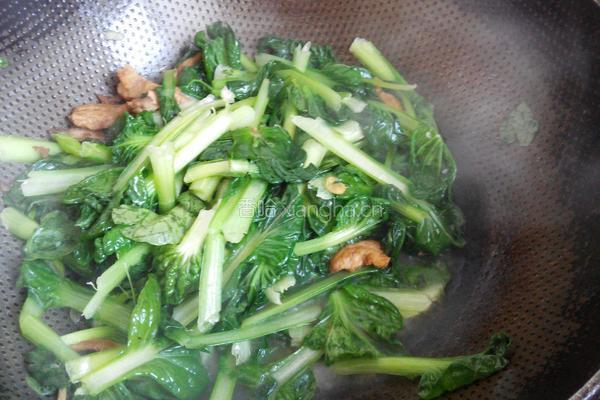 肉炒花叶菜的做法图解6