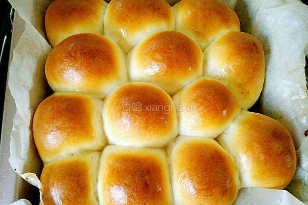 豆沙餐包的做法图解11