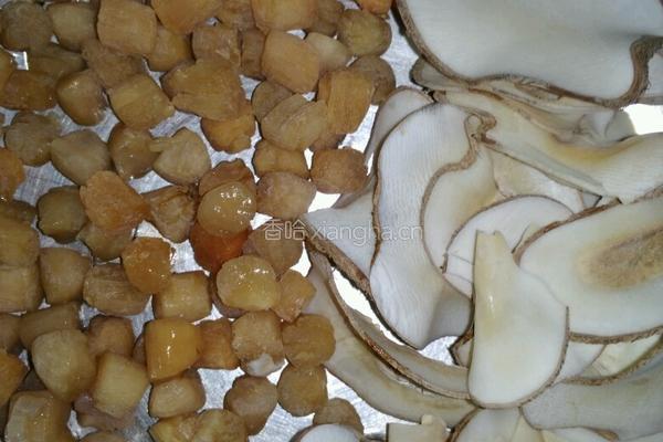 花胶瑶柱海底椰排骨汤的做法图解2