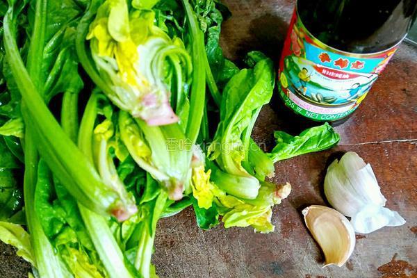 耗油菠菜的做法图解1