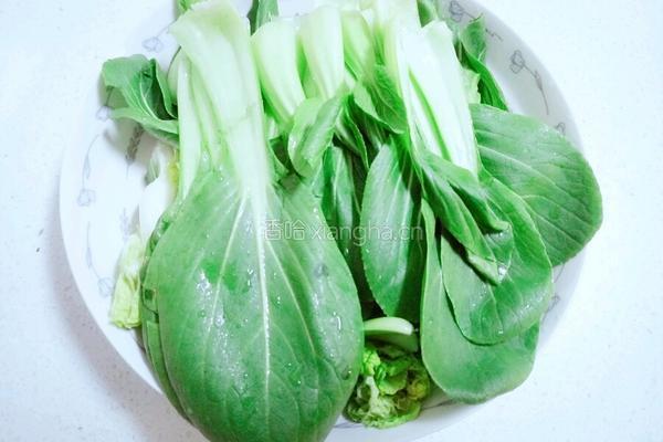 青菜炖豆腐的做法图解2