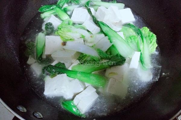 青菜炖豆腐的做法图解6