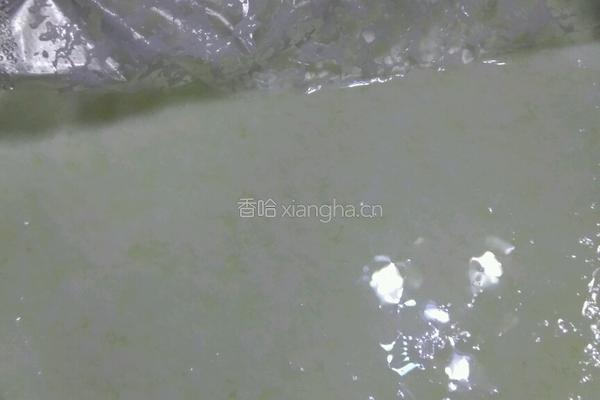 满族老酸奶的做法图解8