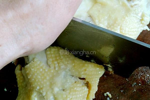 过水鸡的做法图解21