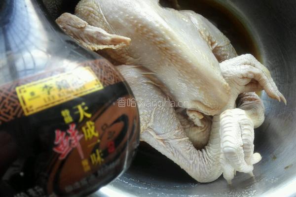 电饭煲焗鸡的做法图解4