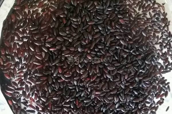 百顺双色珍珠丸子的做法图解1