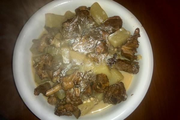 白萝卜炖鸭肉